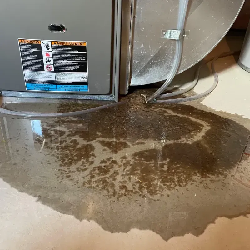 Appliance Leak Cleanup in Crittenden, KY